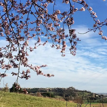 Labarthe Bed & Breakfast 3*