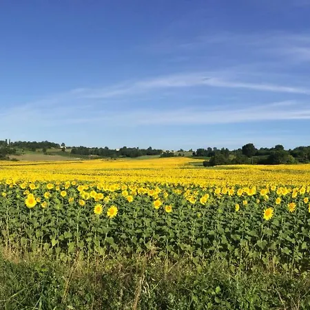 Labarthe Bed & Breakfast 3*