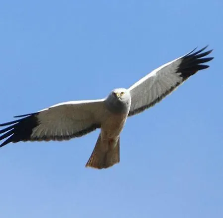 Labarthe Bed & Breakfast 3*