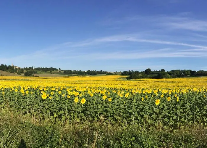 Labarthe Bed & Breakfast 3*