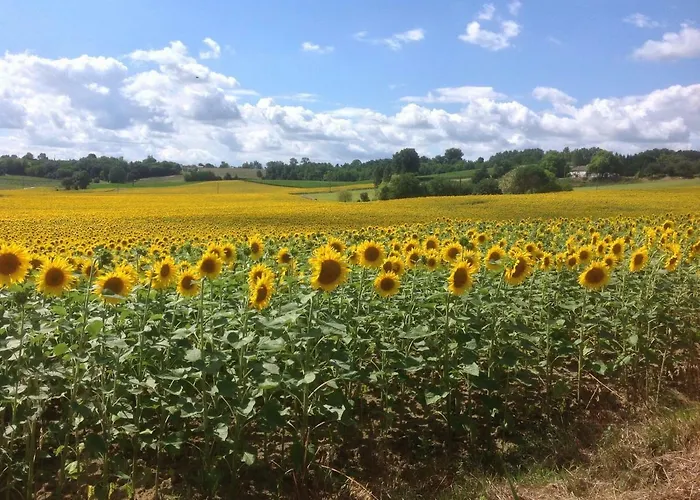 Labarthe 3* Baleyssagues