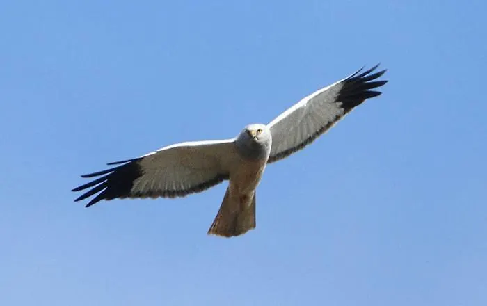 Labarthe Bed & Breakfast 3*